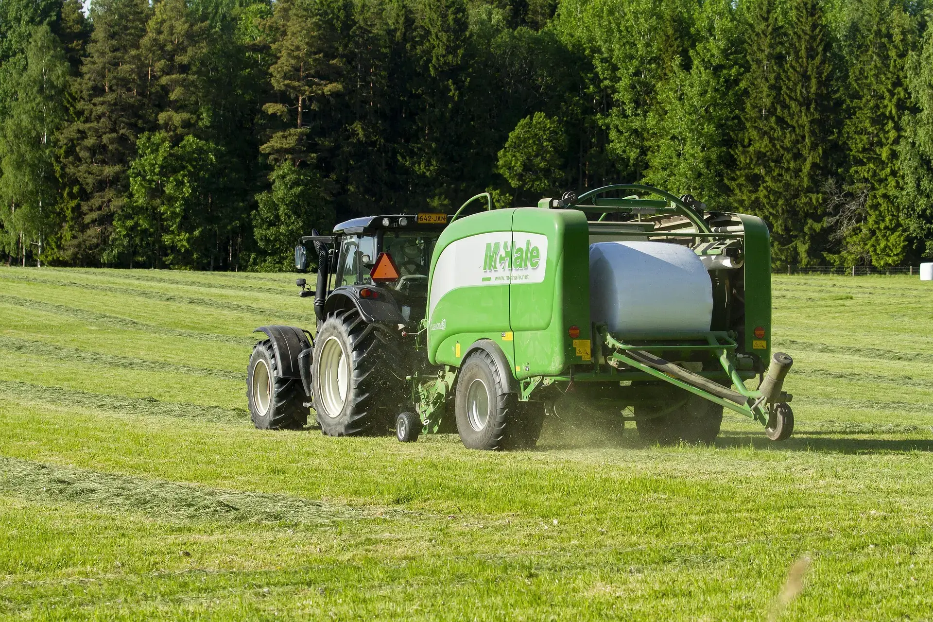 A green Massey Ferguson tractor pulls a cylindrical baler, creating a large green silage bale in a freshly mowed hay field, with a dense forest in the background.