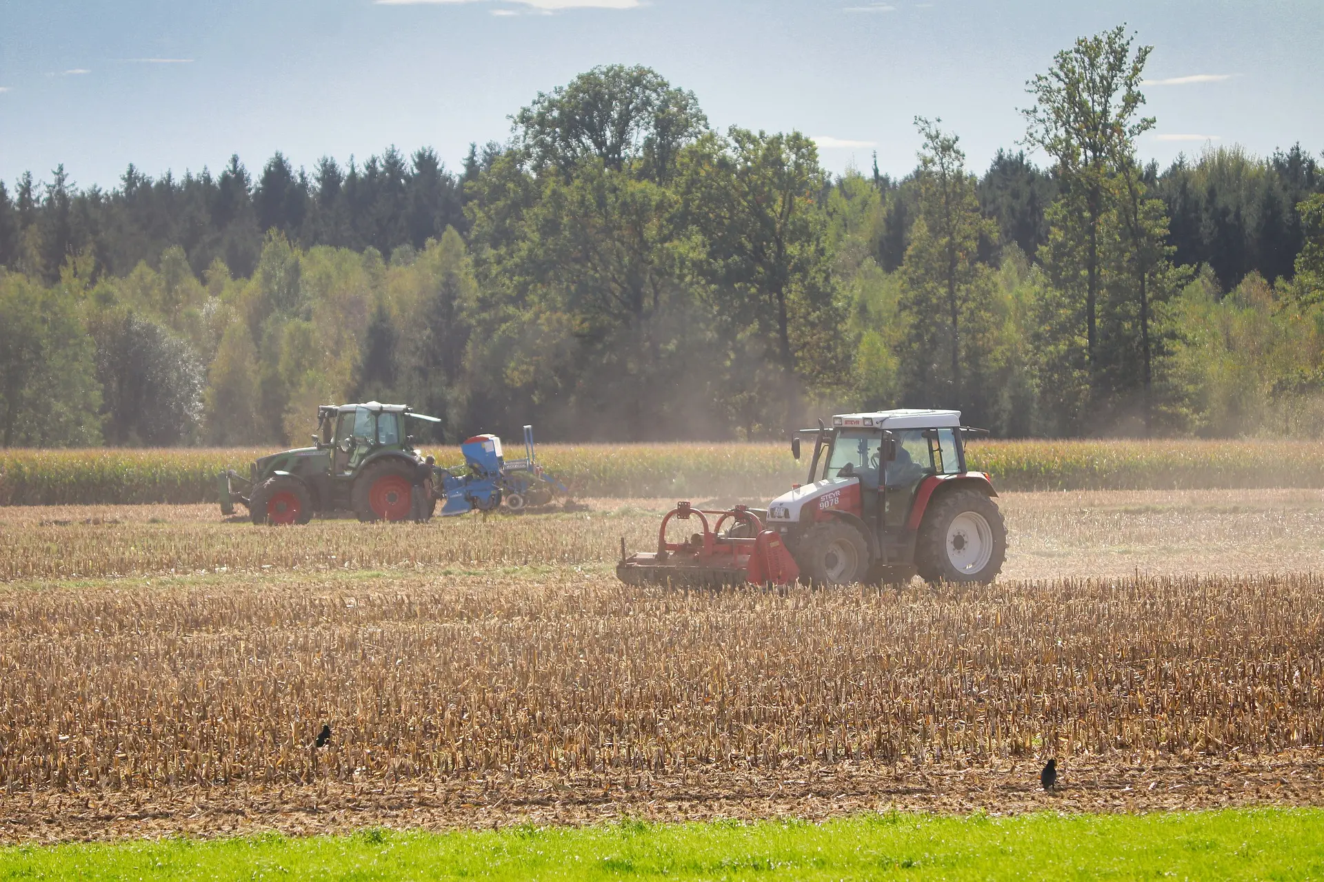 Two tractors work simultaneously in a field: a white-and-red tractor with a red implement in the foreground, and a green tractor with a blue implement in the distance, against a backdrop of dense trees and a blue sky.