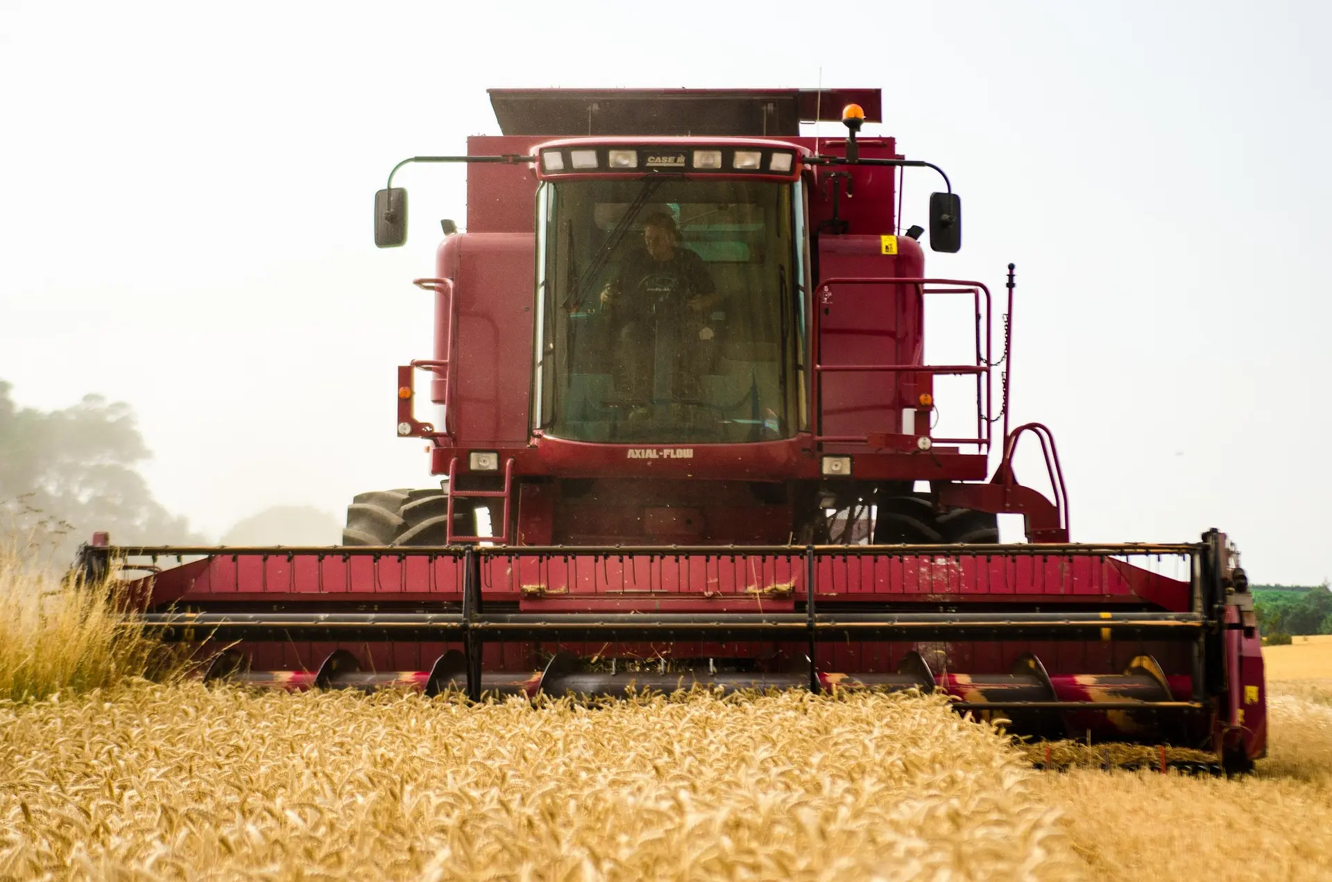 A large red CASE IH AXIAL-FLOW combine harvester operates in a field of ripe golden wheat. The driver is visible in the cab. The text “AXL FL08” appears on the machine. The sky is overcast in the background.