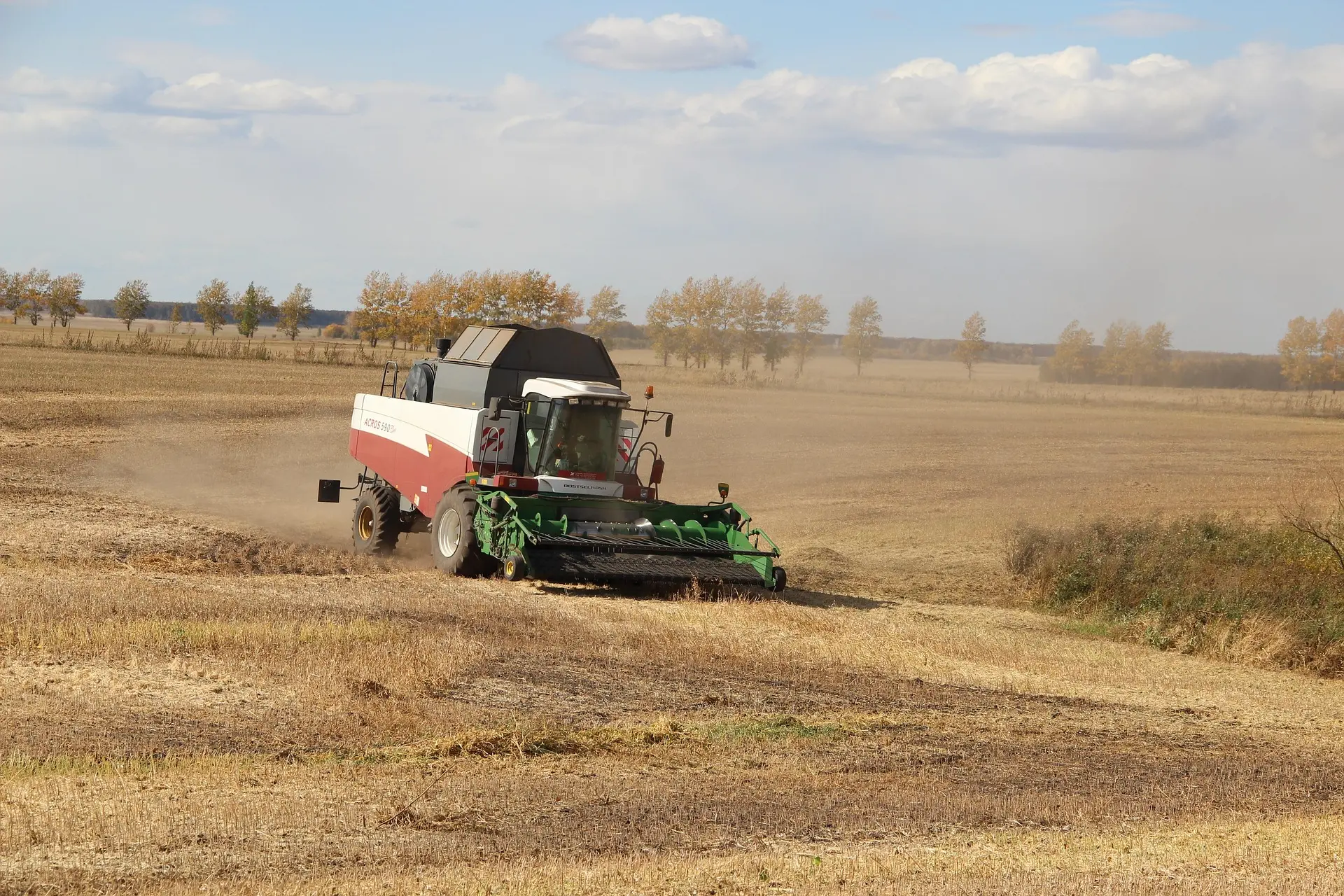 A red and white combine harvester with a green header works in a vast, golden field of ripe grain under a partly cloudy sky. The scene is set in autumn, with a row of trees showing yellow leaves in the background.