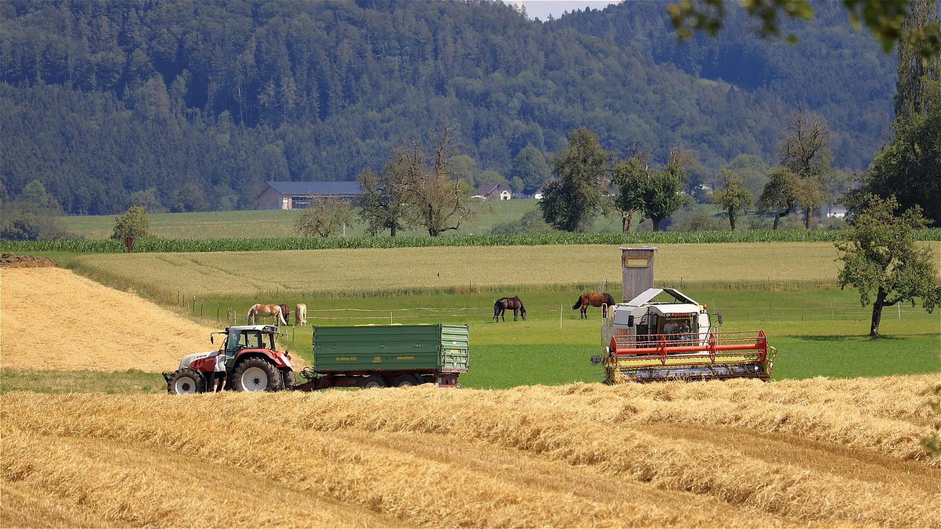 A scenic rural landscape showing a recently harvested golden stubble field in the foreground, with a red and white tractor pulling a green trailer on the left and a stationary white combine harvester on the right. Brown horses graze in a lush green pasture behind a fence, with a small barn and forested hills with houses visible in the distance under a light blue summer sky.