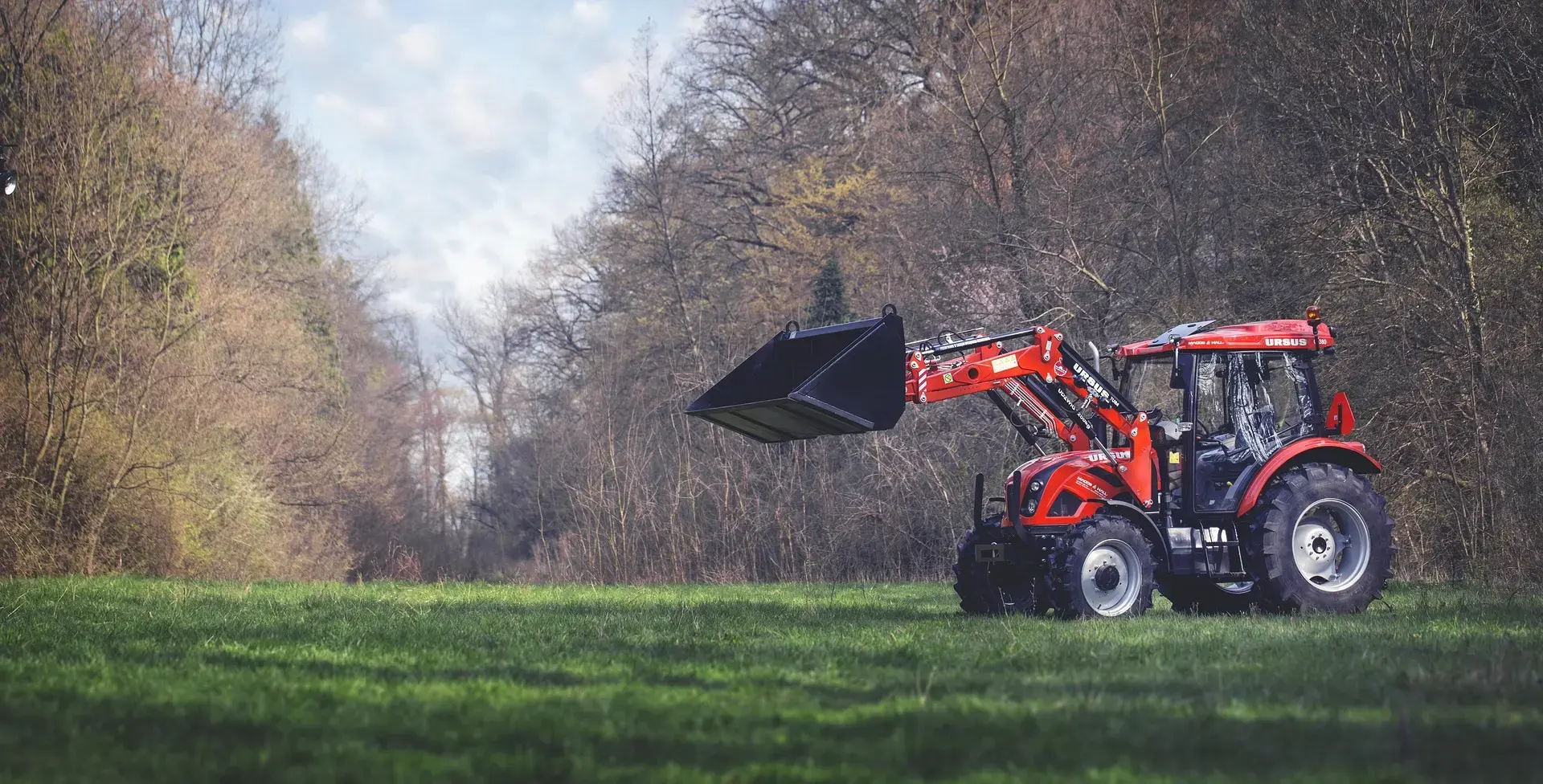 A vibrant red Ursus agricultural tractor with its front-loader bucket raised, standing on a lush green field against a backdrop of trees.