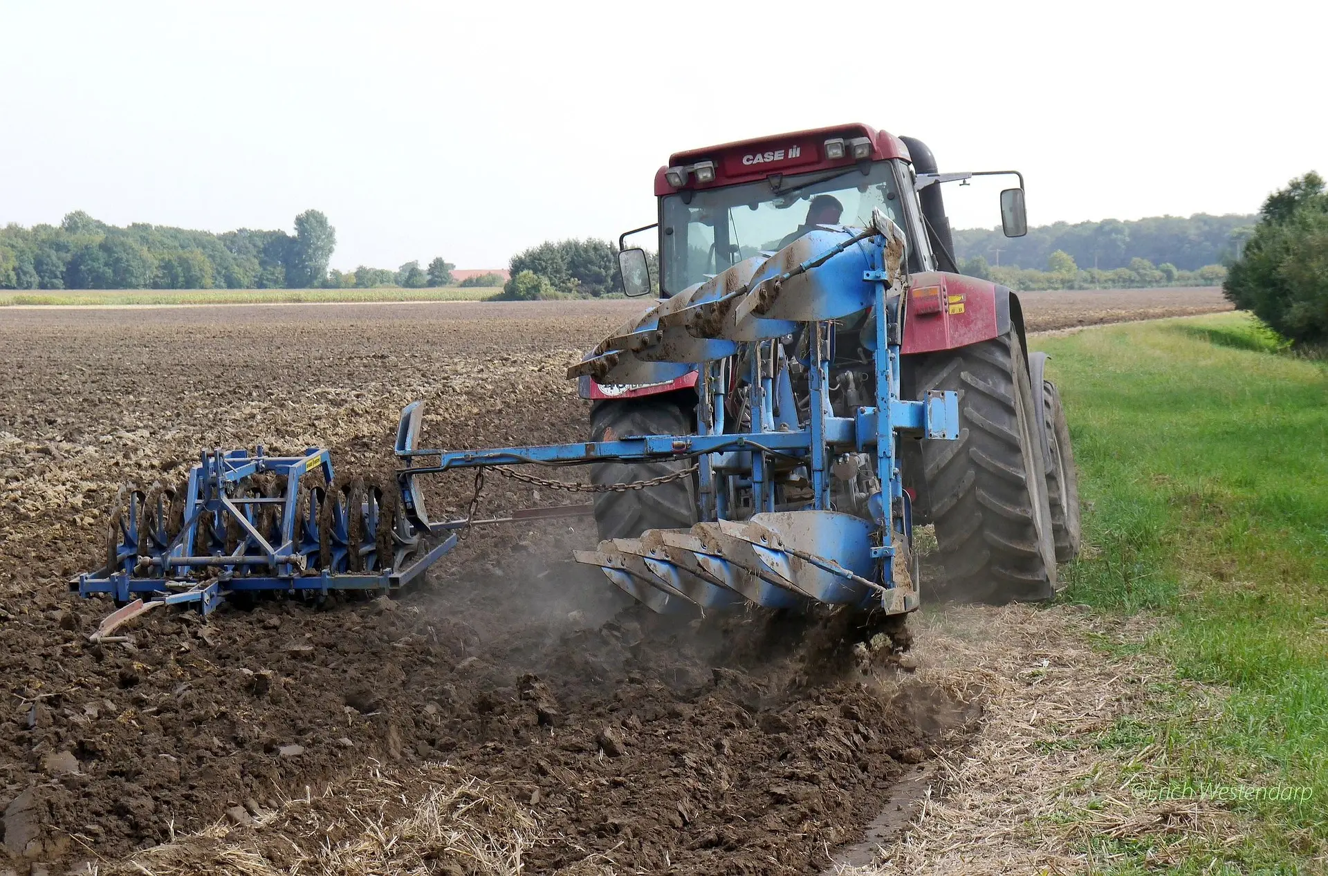 A red CASE IH tractor pulls a bright blue plow through soil, capturing the dynamic action of modern farming. The machinery is the focal point against a vast, open field and distant tree line under a soft, grey-white sky.