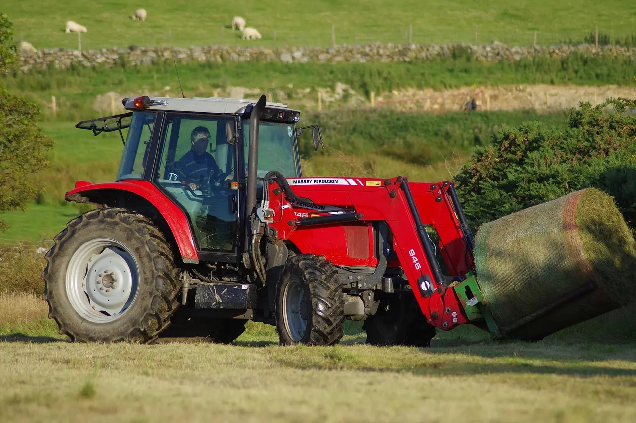 A red Massey Ferguson 145 tractor, with a visible driver in the cab, actively lifts a large cylindrical hay bale with its front loader in a pastoral landscape. The scene, set against rolling green hills, features sheep grazing and a traditional stone wall, capturing the harmony between mechanized farming and traditional countryside life.