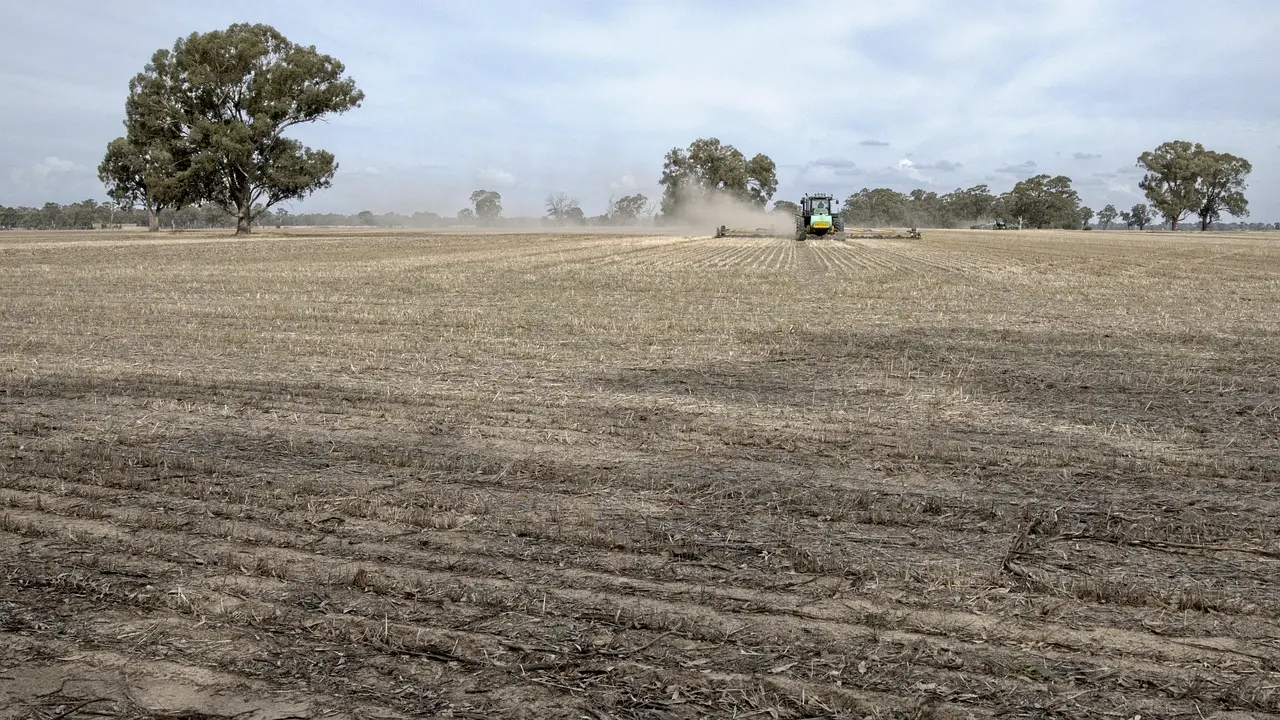 A tractor creates a dynamic plume of dust as it advances through a vast, harvested field of pale yellow soil marked with neat rows. Set against a soft, cloudy sky with sparse trees lining the horizon, the image conveys the active and rhythmic nature of post-harvest fieldwork.
