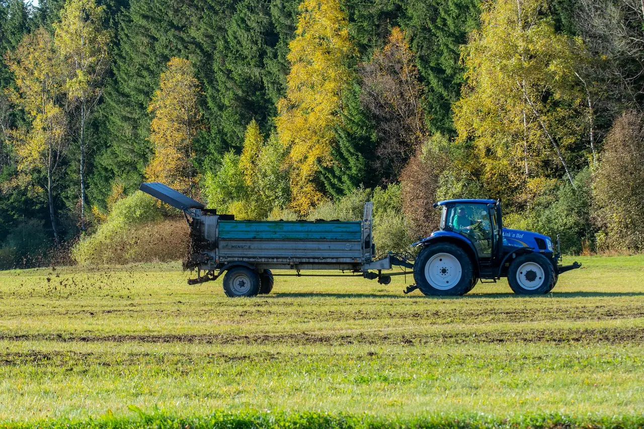 A blue tractor methodically distributes dark organic fertilizer from its open-bed trailer onto neatly divided plots of a field. The scene is enveloped by a vibrant autumn forest displaying greens, yellows, and browns under bright sunshine, illustrating the efficiency of modern mechanized farming in harmony with the seasonal landscape.