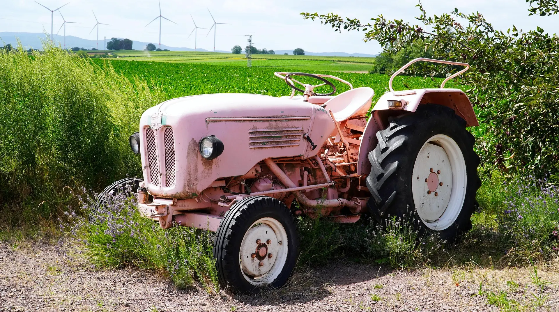 A weathered, faded pink vintage tractor rests on a sun-drenched gravel path, its rustic charm contrasting with sleek, modern white wind turbines turning slowly in the distant, vibrant green field. The scene, framed by purple wildflowers and rolling hills under a clear sky, creates a powerful narrative about the evolution of rural life and technology.