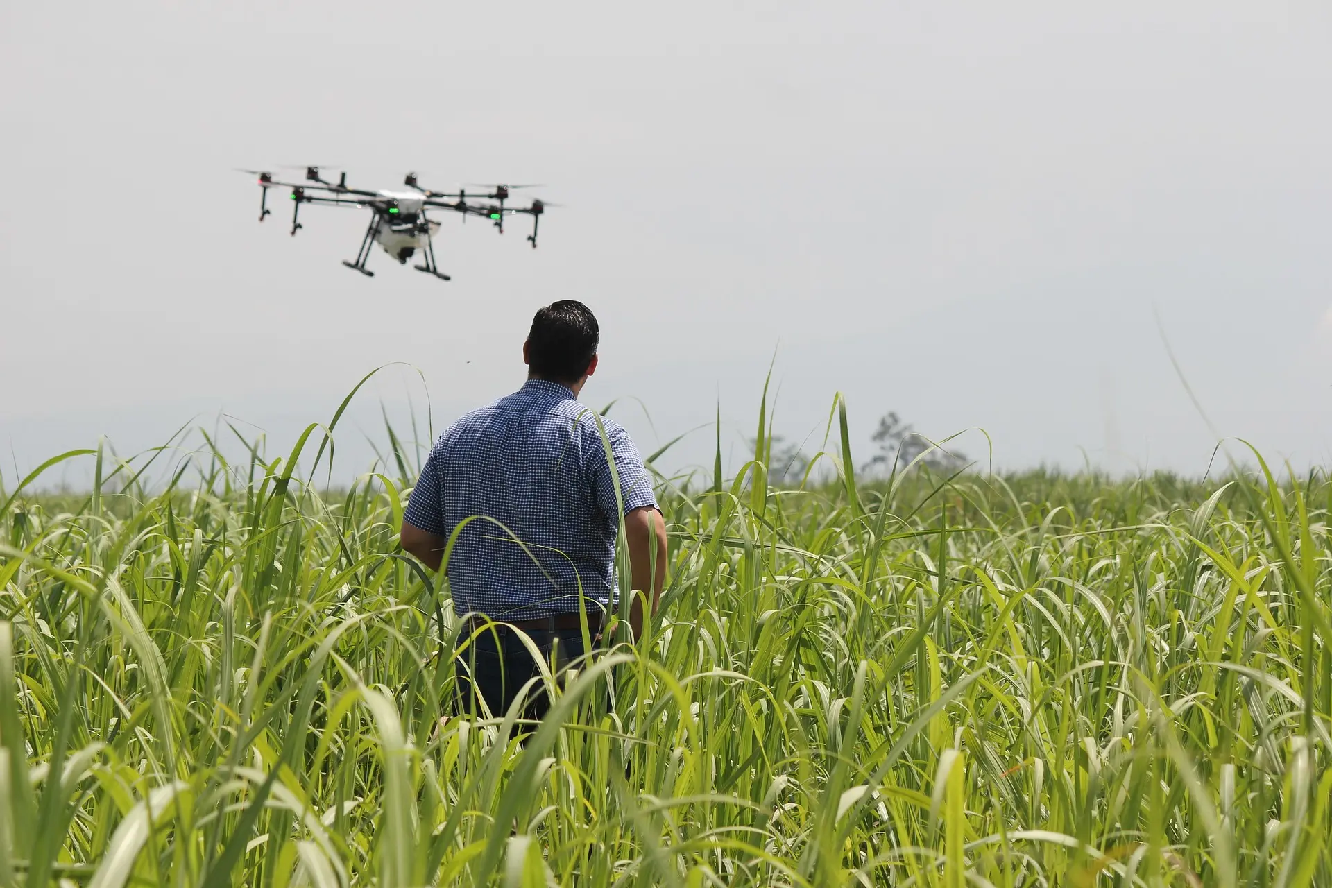 A farmer stands amidst a lush green field, using a remote control to pilot a multi-rotor agricultural drone for precise crop spraying. This image captures the integration of modern technology with traditional farming, highlighting data-driven precision agriculture in action.