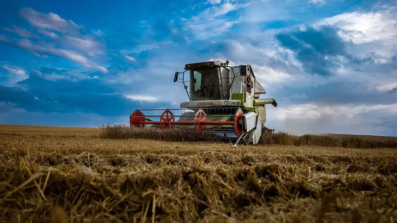 A large combine harvester in green, white, and red efficiently harvests golden wheat in a vast field. Under a dramatic sky filled with white and gray clouds, with cut straw in the foreground, the scene powerfully represents the efficiency and scale of modern, mechanized agriculture during harvest time.