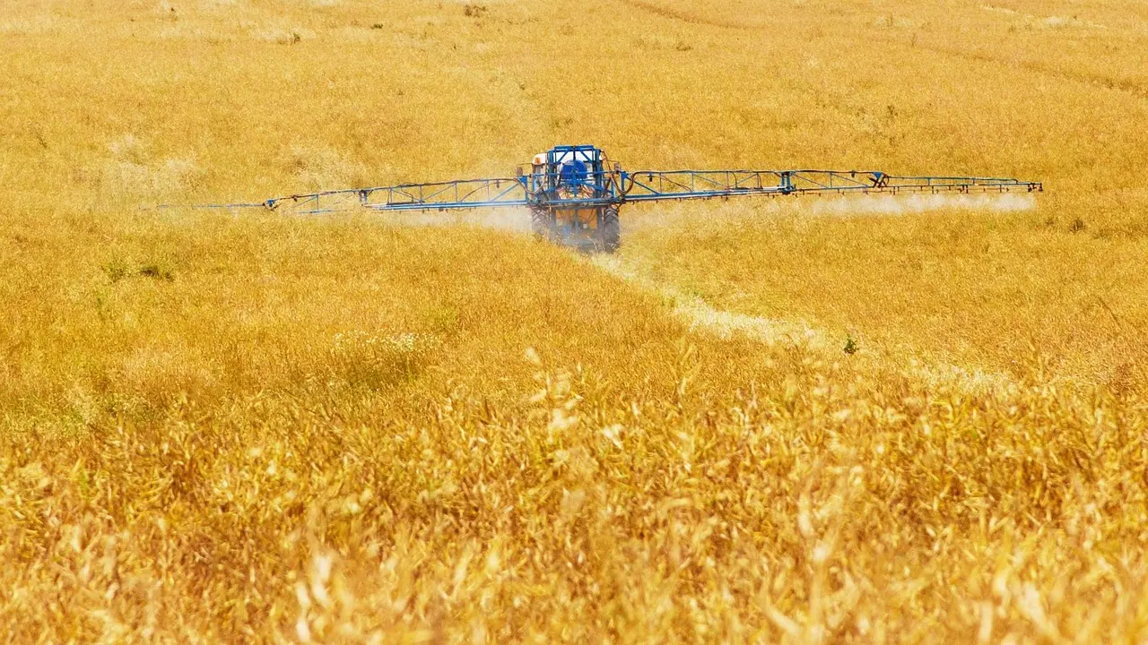 A blue self-propelled sprayer operates in a golden wheat field, deploying a long boom with nozzles that release a fine, spray mist. The white spray contrasts vividly against the yellow crop. An operator is partially visible in the cabin. The warm-toned image captures efficient, large-scale crop protection in a vast agricultural landscape.