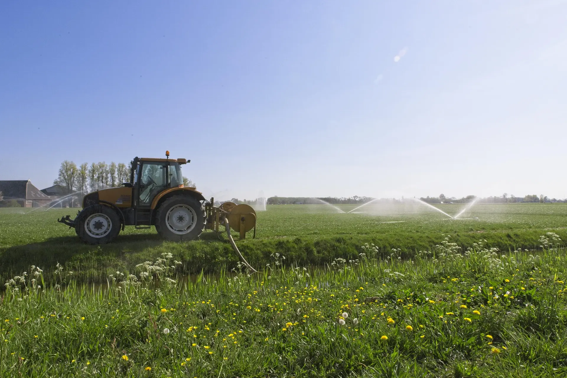 An orange tractor with a yellow front attachment operates a yellow irrigation sprayer, watering a vast green field dotted with yellow wildflowers under a blue sky with distant trees.