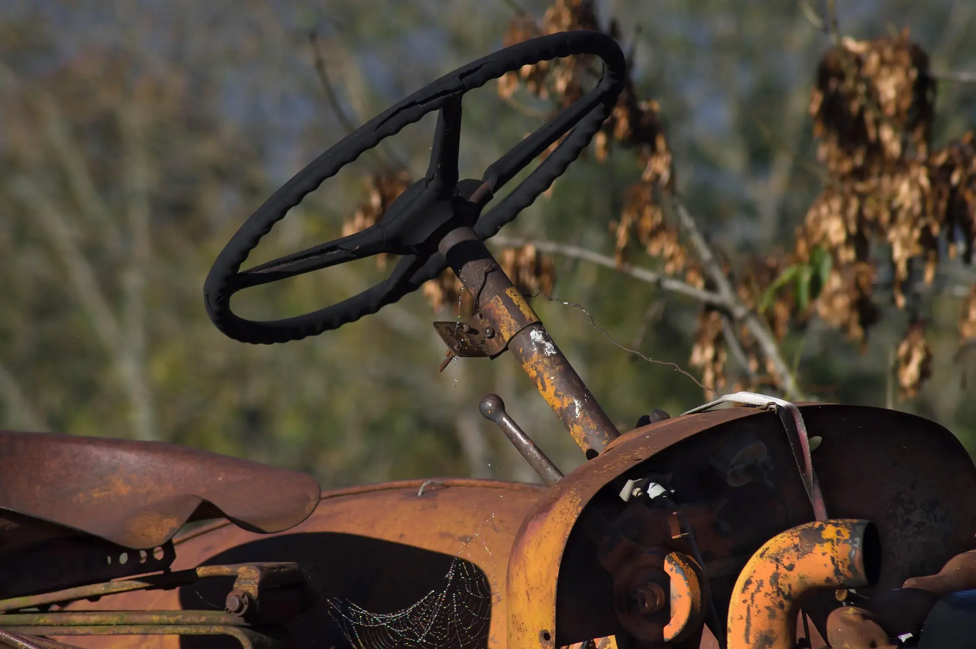 An evocative close-up of a decaying vintage tractor focuses on its heavily rusted steering column and worn black wheel. A forgotten tool rests nearby, and a delicate, dried spiderweb clings to the metal, all set against a blurry background of golden autumn leaves. This image tells a story of abandonment, the passage of time, and the rustic history of farm machinery.