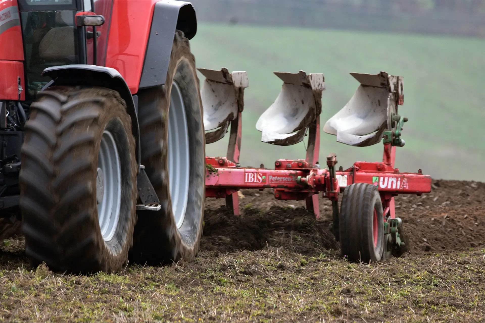 Close-up of a red tractor pulling an “IBIS Petersen” brand red and white three-point hitch plow, tilling dark brown soil in a green field.
