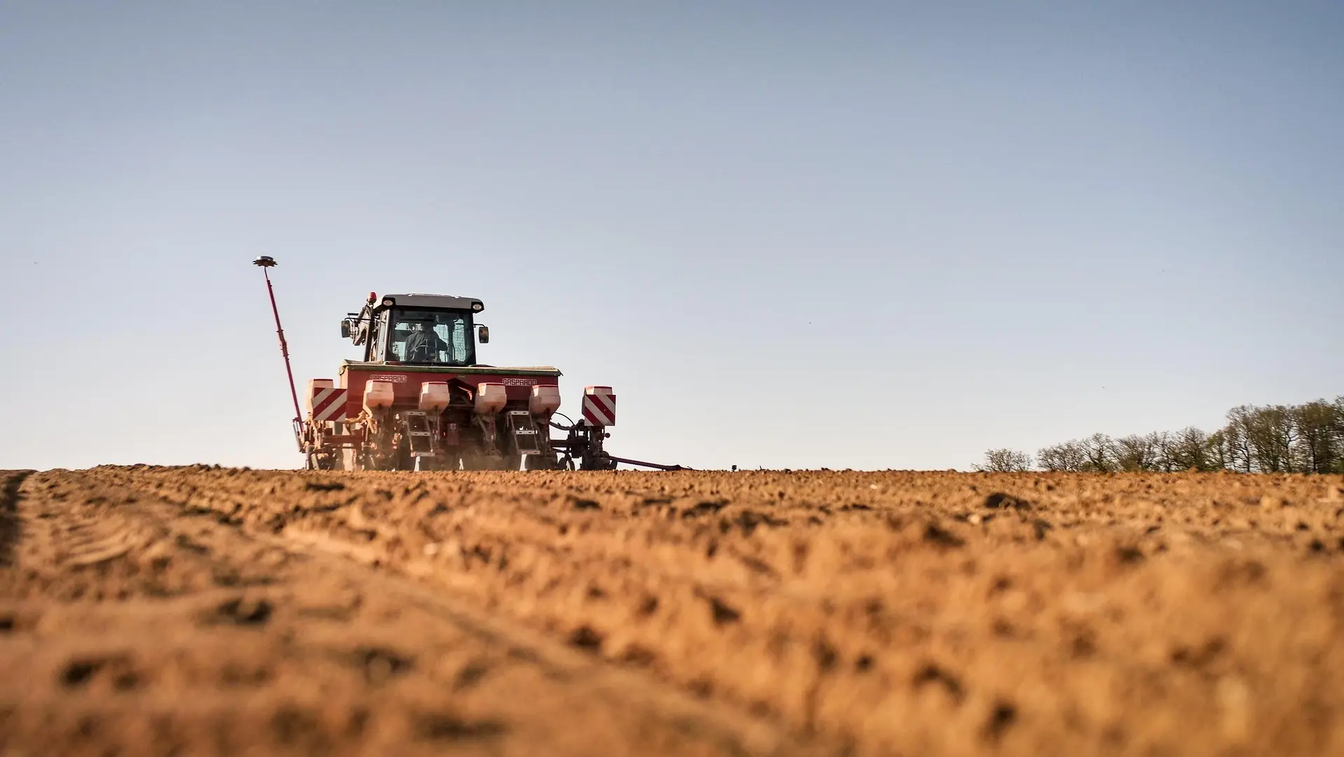 A red tractor with a seeder attachment performs precision planting on a field of freshly tilled, dark brown soil under a clear sky.