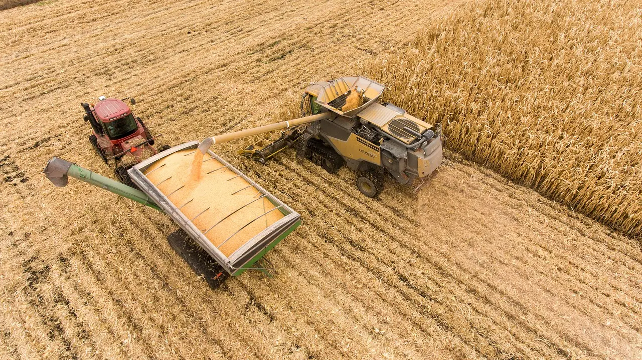 Aerial view of a large yellow and grey combine harvester unloading golden wheat via its discharge chute into a green grain cart pulled by a red tractor, amidst a vast patchwork of ripe and harvested fields.