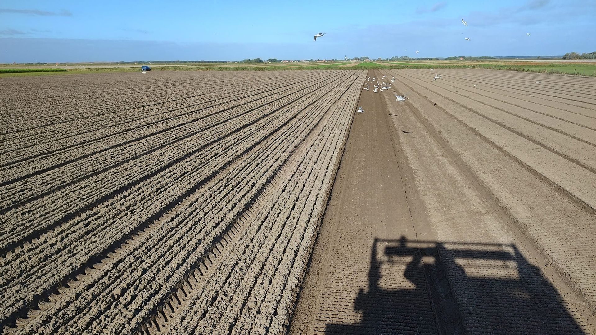A vast field belonging to Zuid Eind Bloembollen