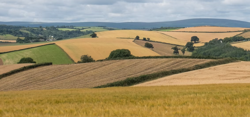challenge-precision-agriculture