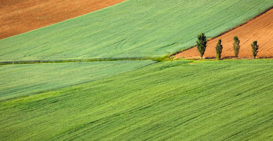 farm management system in agriculture
