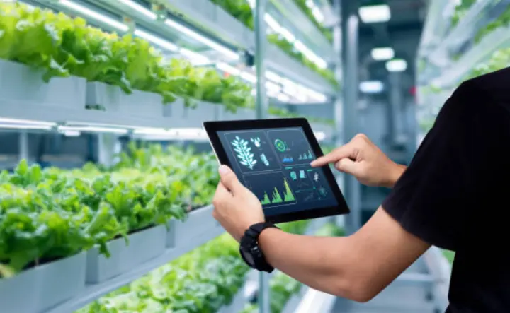 Automated Greenhouses.