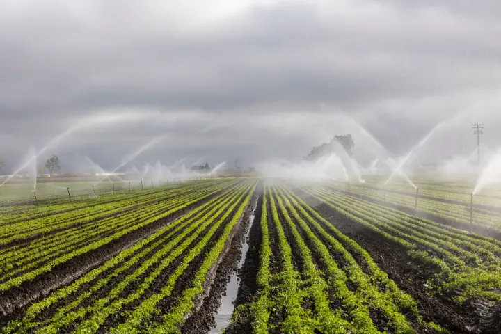 Irrigation Systems