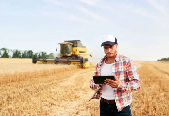 A farmer using farm management software on a tablet in a wheat field with a combine harvester in the background, optimizing harvest operations