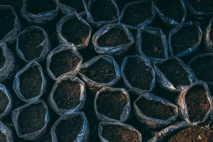 rganic compost enriching soil fertility for healthy crops