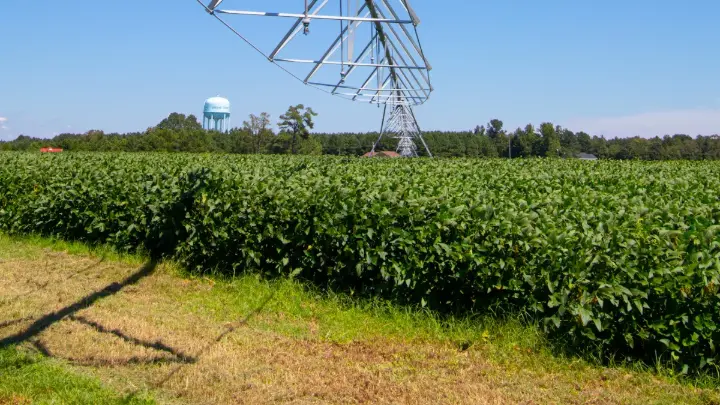 Solar-powered irrigation system with panels and pump for sustainable agriculture