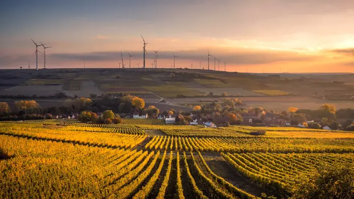 Sunset farmland with wind turbines demonstrating sustainable agriculture