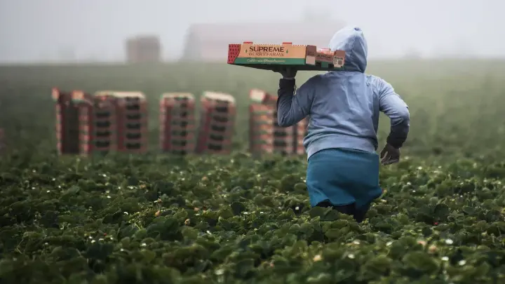 Agriculture supports global food security