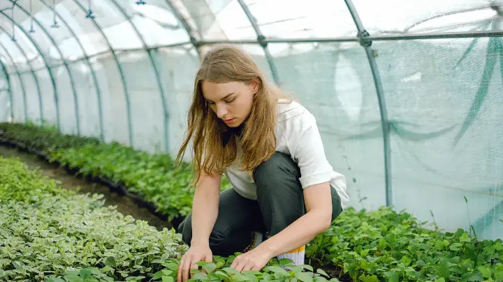 Greenhouse farmer using small farm management software
