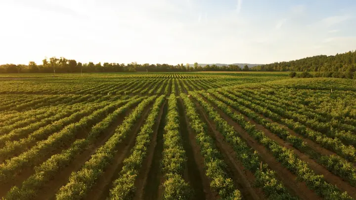 Vast farmland view, spring planting calendar