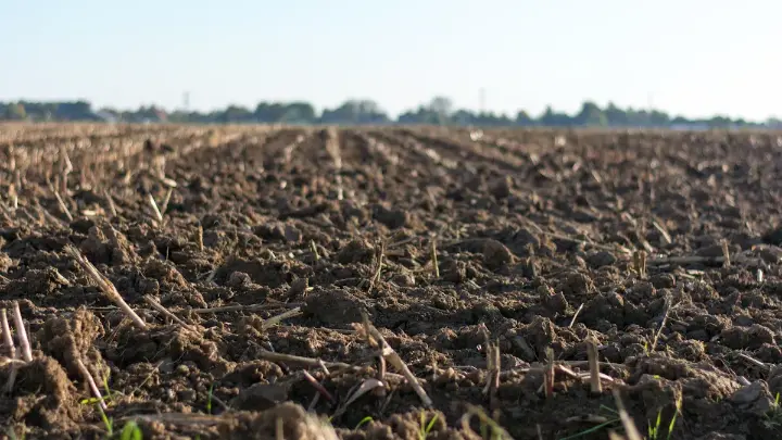 Freshly plowed field ready for sustainable farming practices.