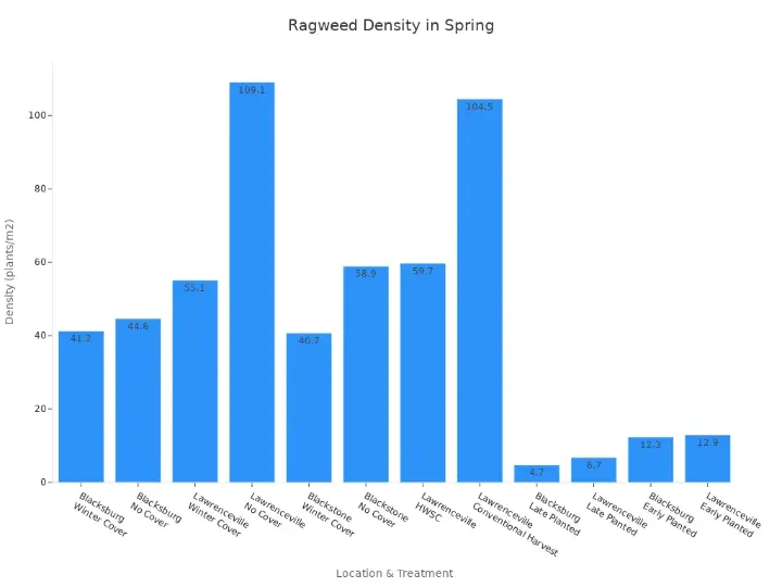 Bar chart of spring crops ragweed density under trial treatments