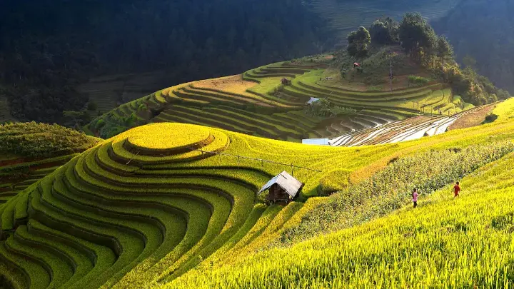 Terraced rice fields using precision agriculture for optimized irrigation