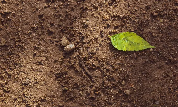 soil testing