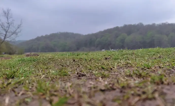 Clean Fields