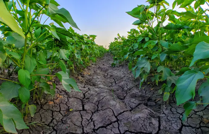 Better Crop Growth
