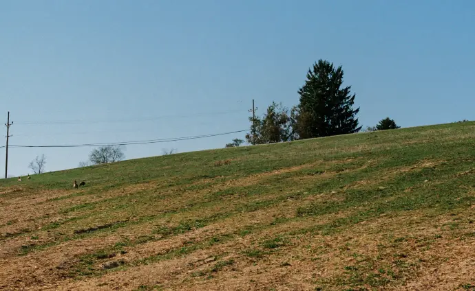 planting area