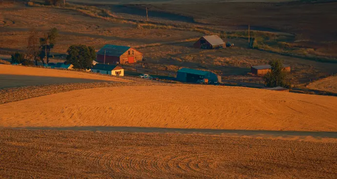 harvest crop on hill