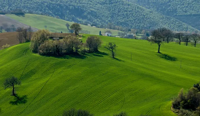 Crop Calendars