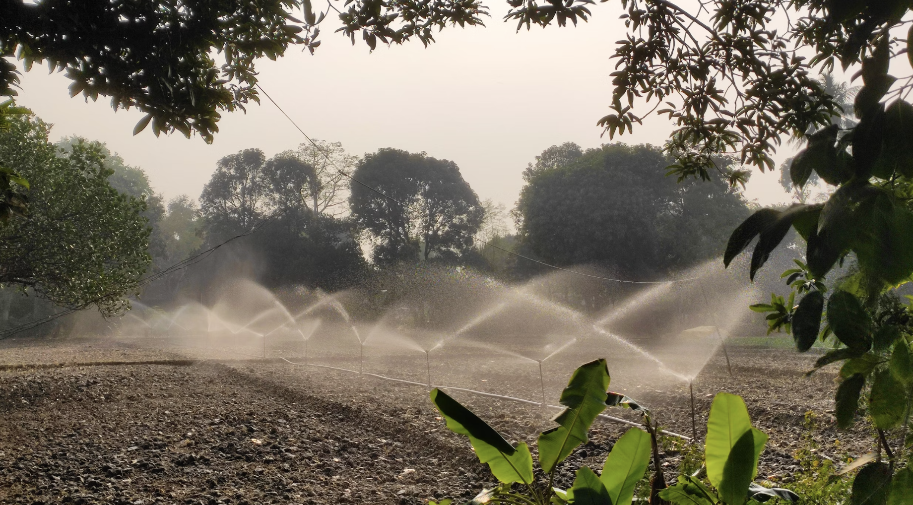 saving water