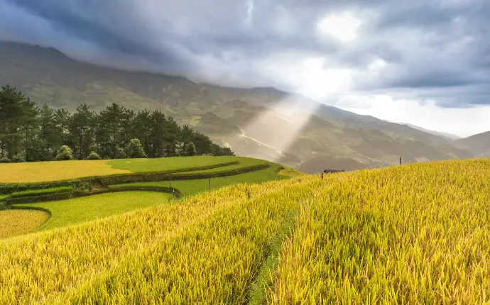 Climate Change in Agriculture