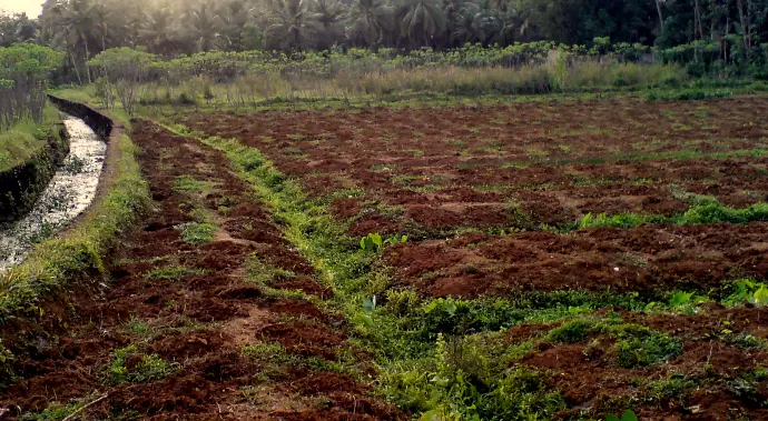 Conservation Farming