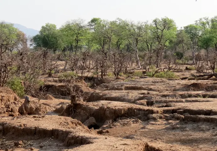 Soil Degradation