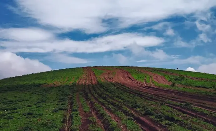 soil types