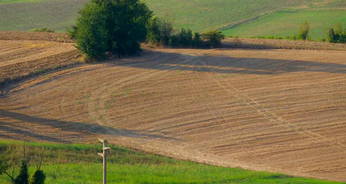 Soil preparation