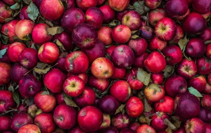 Apples