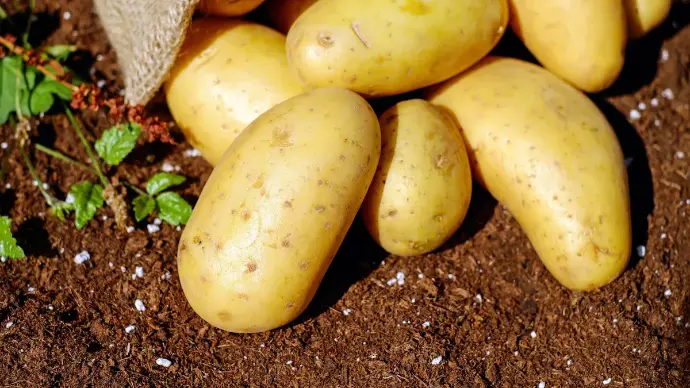 Potatoes