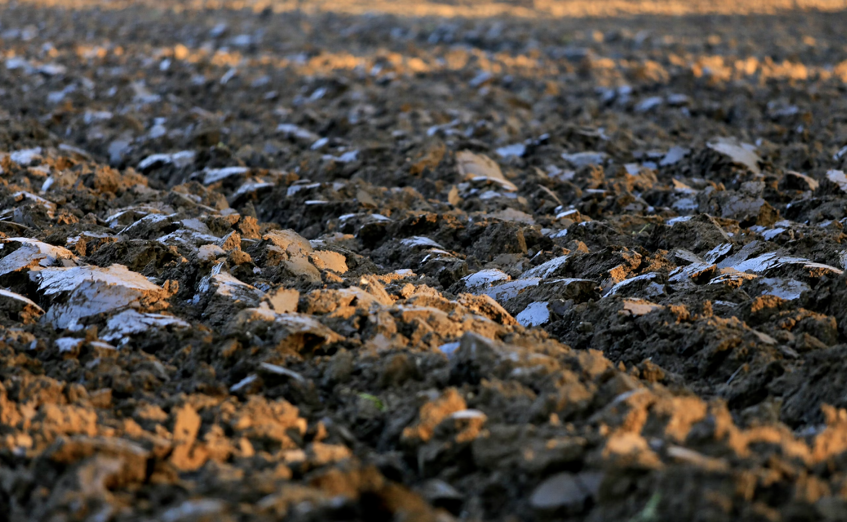 soil moisture