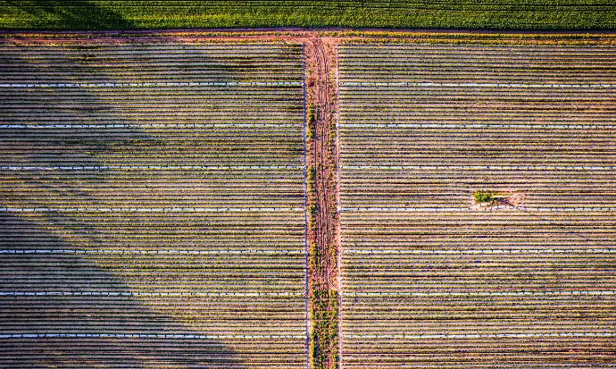 Soil Management